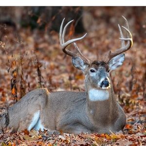 Meet your Posher, Evan